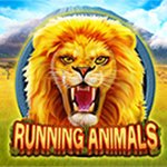 Running Animals